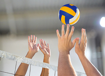 Volley